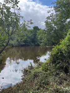 31233 Elm Ridge Road