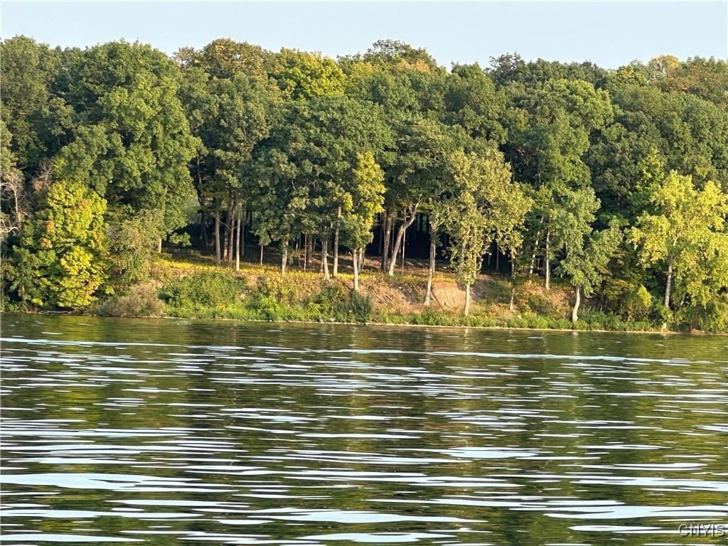 Image 3: A partially clear lot