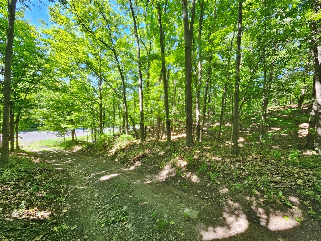 Image 1: DRIVEWAY ENTRY FROM RT 54 - E LAKE RD