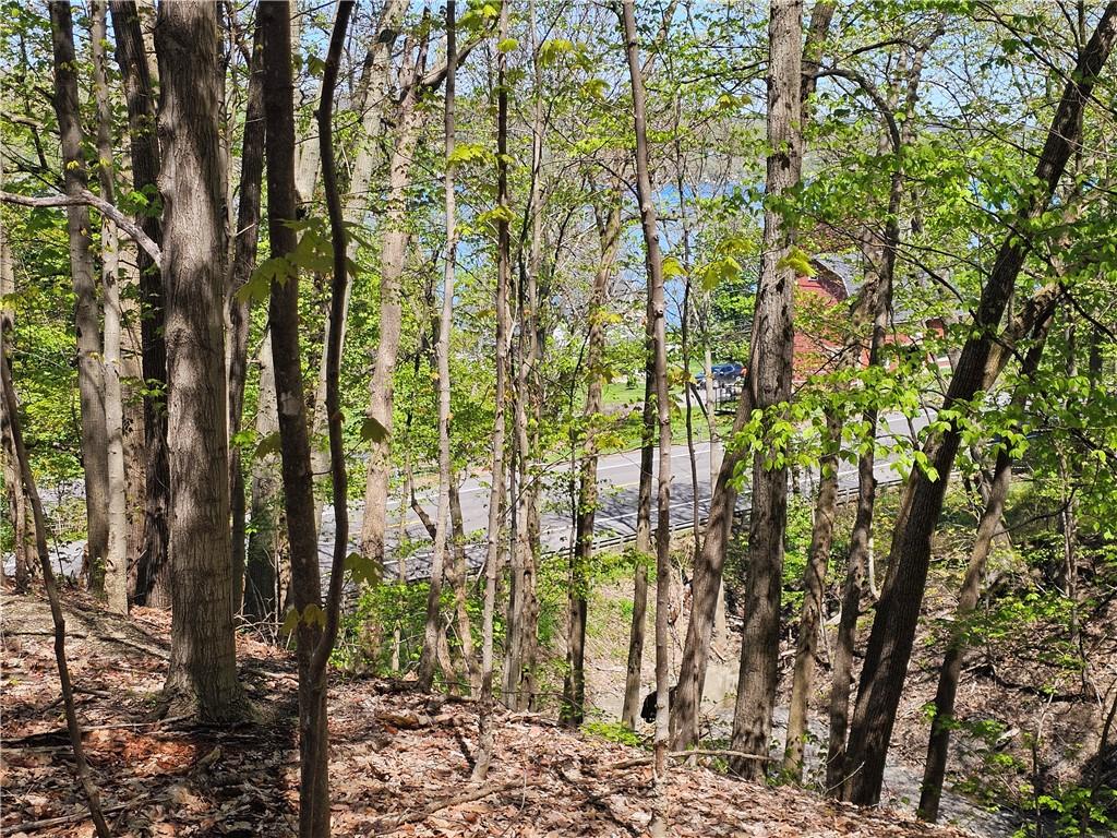 Image 4: KEUKA LAKE THROUGH THE TREES