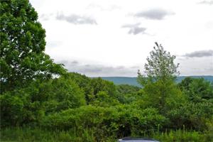 00 Vine Road Ext