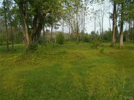 LOT 1B Coulter Cove