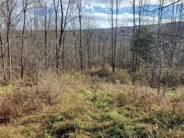 0 Co Road 36 E