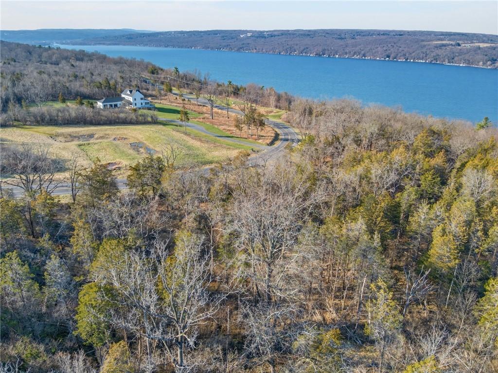 Image 2: Aerial with view of Cayuga Lake