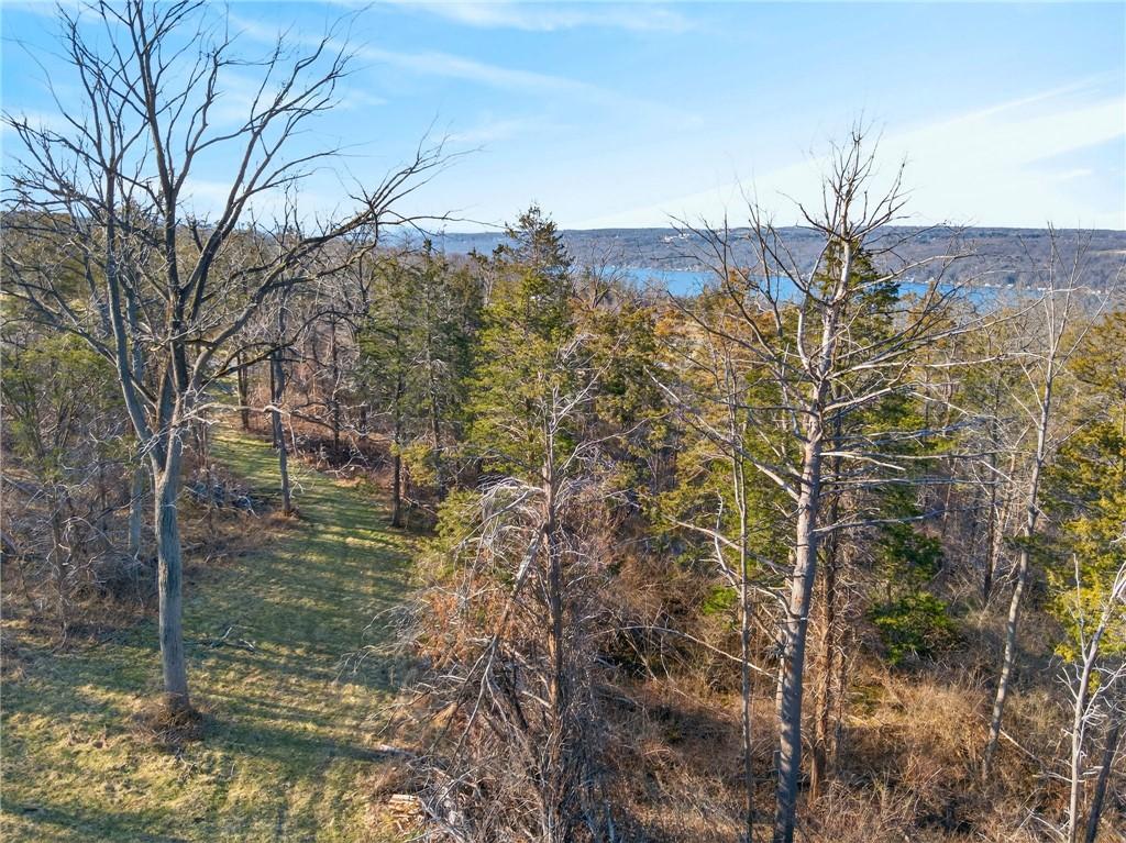 Image 3: Wooded lot