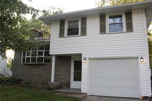 41 Larch Street