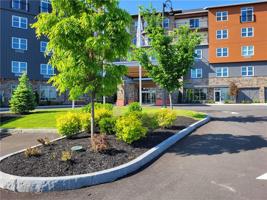 205 Lakeshore Drive