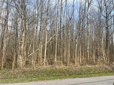 Lewis Point Road