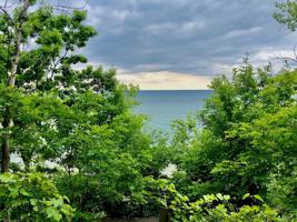 Lot #41 W Shore Drive