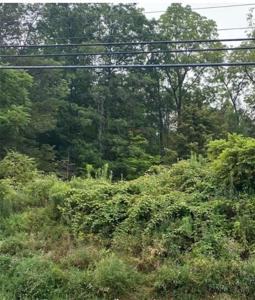 4798 County Road 16