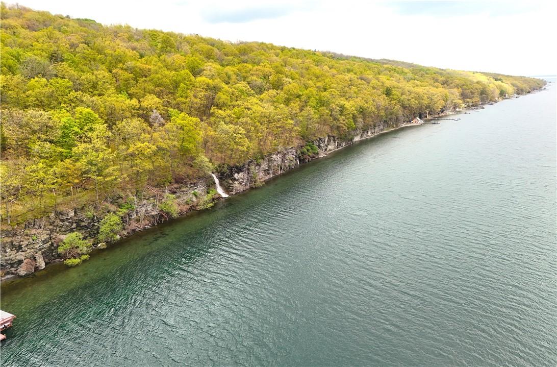Image 4: Shoreline looking north