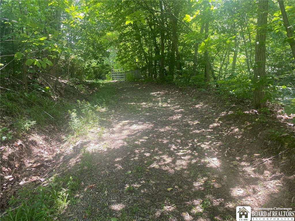 Image 4: LANEWAY DOWN TO LAKE
