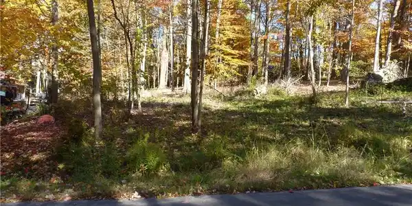 Scandia Drive