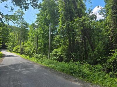 Lippitt Development Road