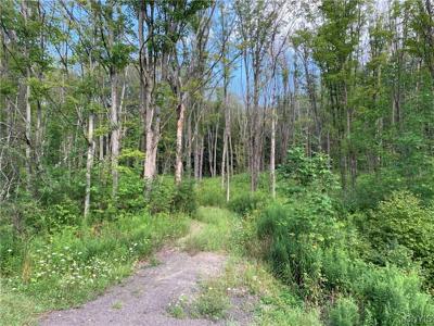 00 County Road 49