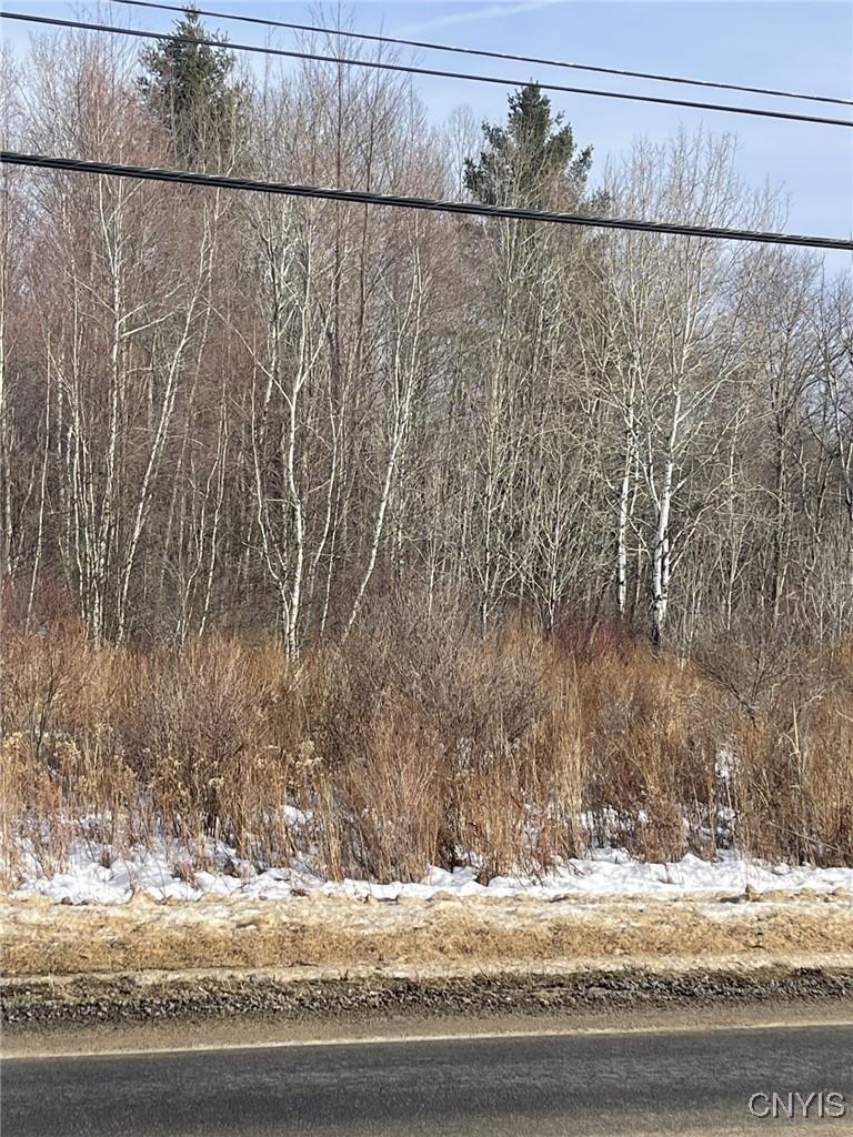 Image 2: View from Rt 46