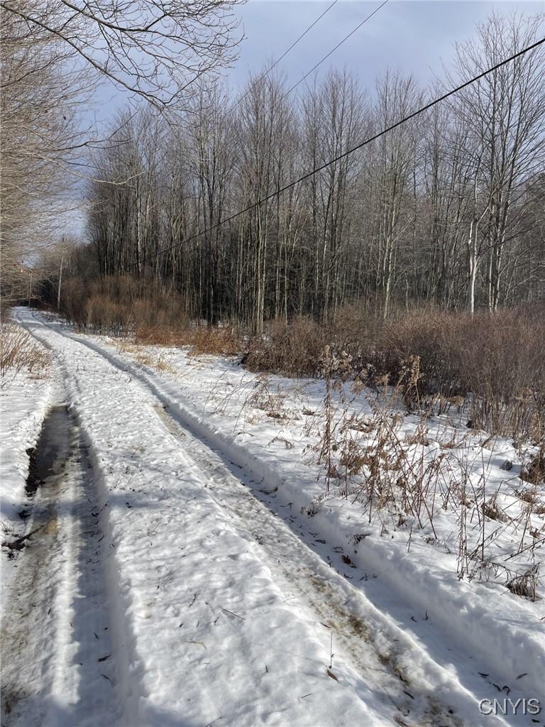 Image 3: Access Road