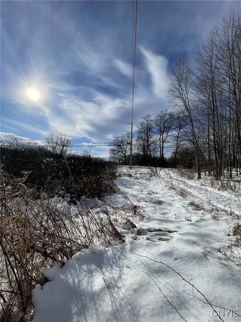 Image 4: Access Road from land looking towards Rt 46
