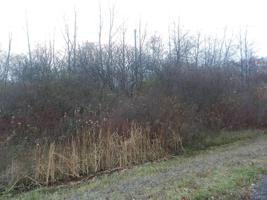 0 State Route 38