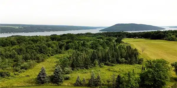 O Grove Springs/ Keuka Highlands Road Road