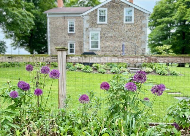 Image 4: View from the fenced in garden, towards the northe