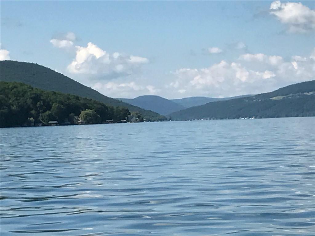 Image 2: SPECTACULAR CANANDAIGUA LAKE
