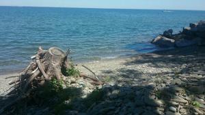 0 Butterfly Shores