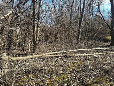 00 Mayflower Road