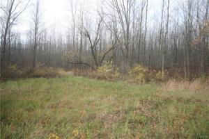 LOT 2 Old Orchard Avenue
