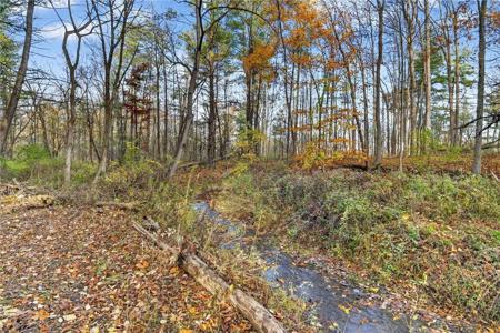 00 Burdick Hill Road