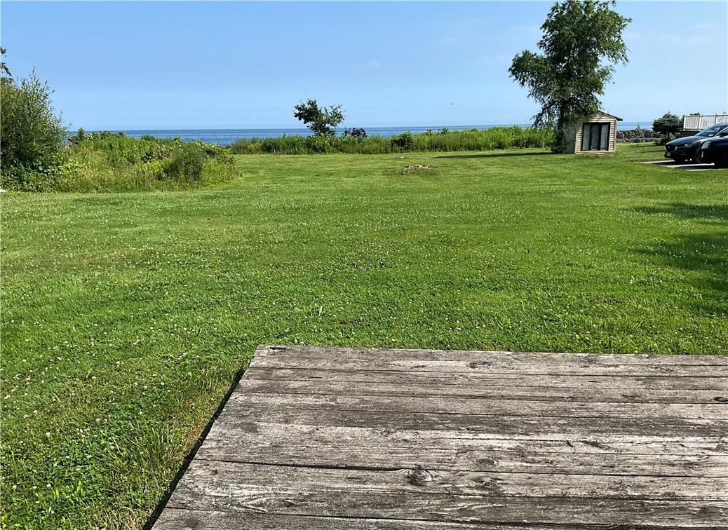 Image 4: The back line starts where the high weeds on the l