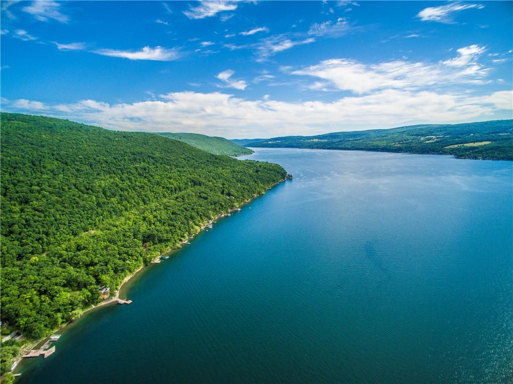 Image 4: ENJOY EVERYTHING THE CANANDAIGUA LAKE AREA HAS TO