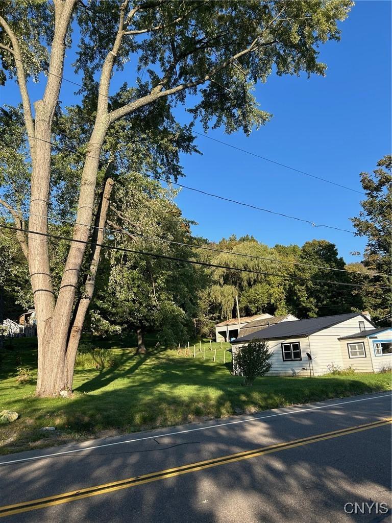 Image 1: Large open lot