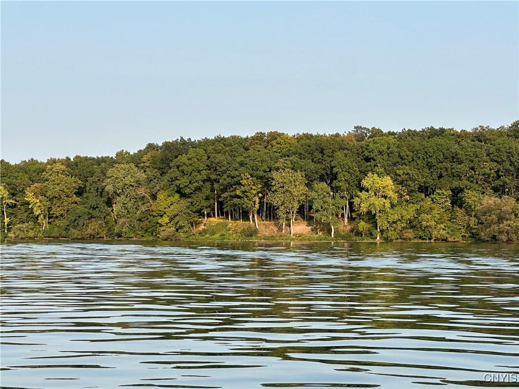 Image 2: A partially cleared lot