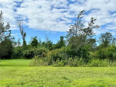 Lot 4 County Route 59