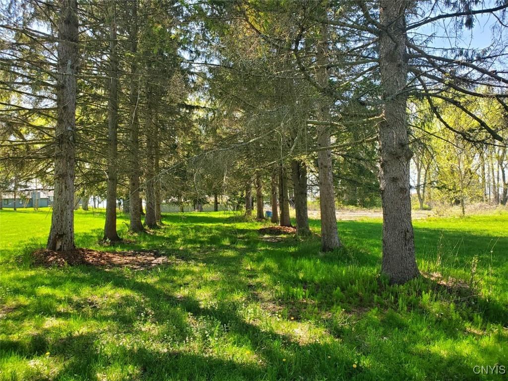 Image 4: VIEW STRAIGHT THROUGH THE MIDDLE OF THE TWO ROWS O