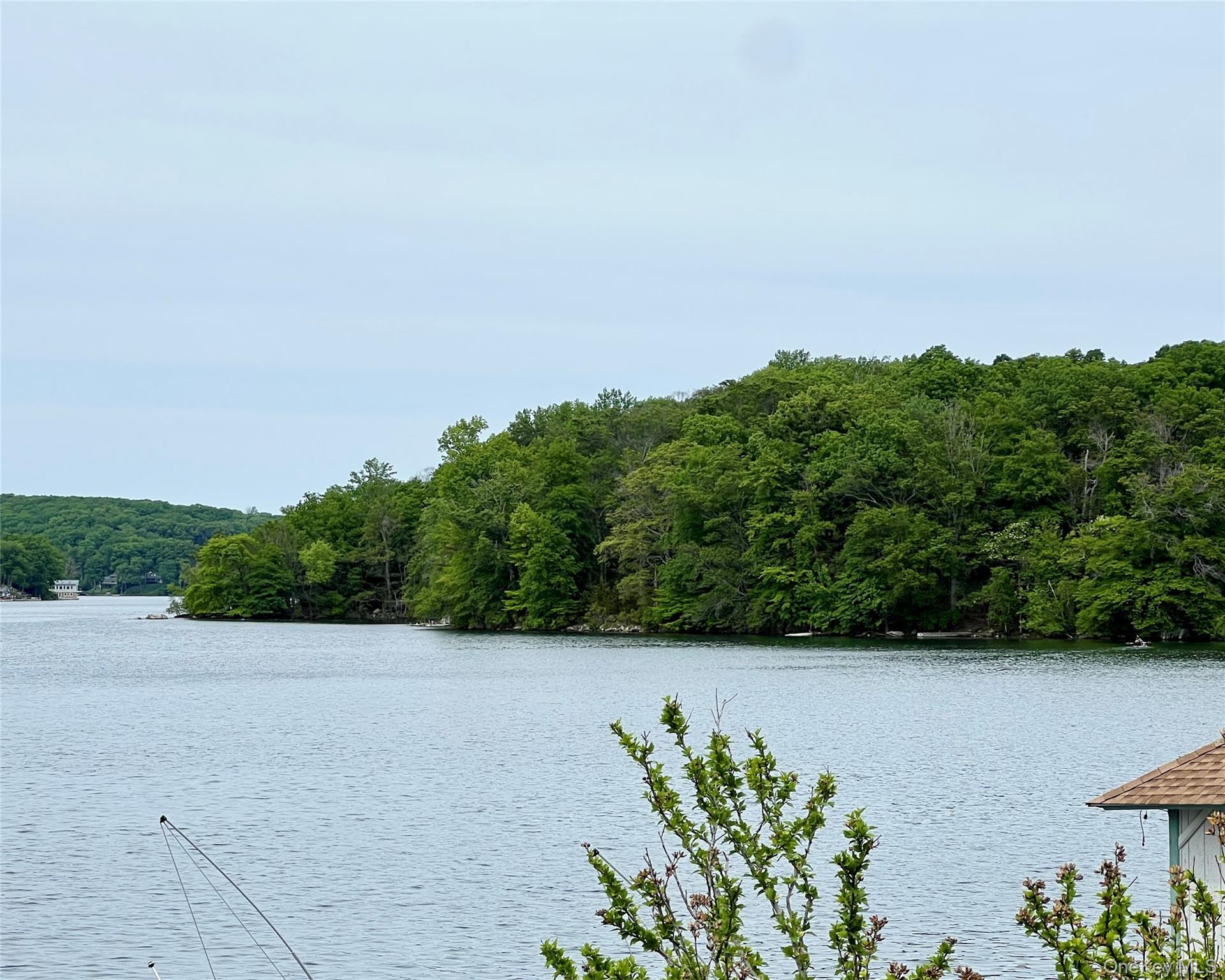Image 1 Image 1