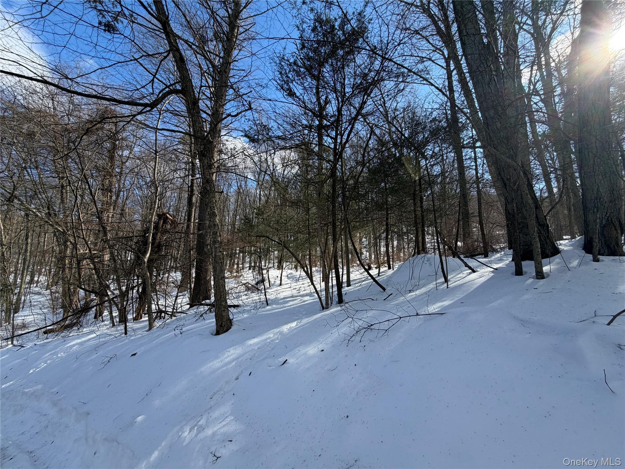Image 3 Image 3