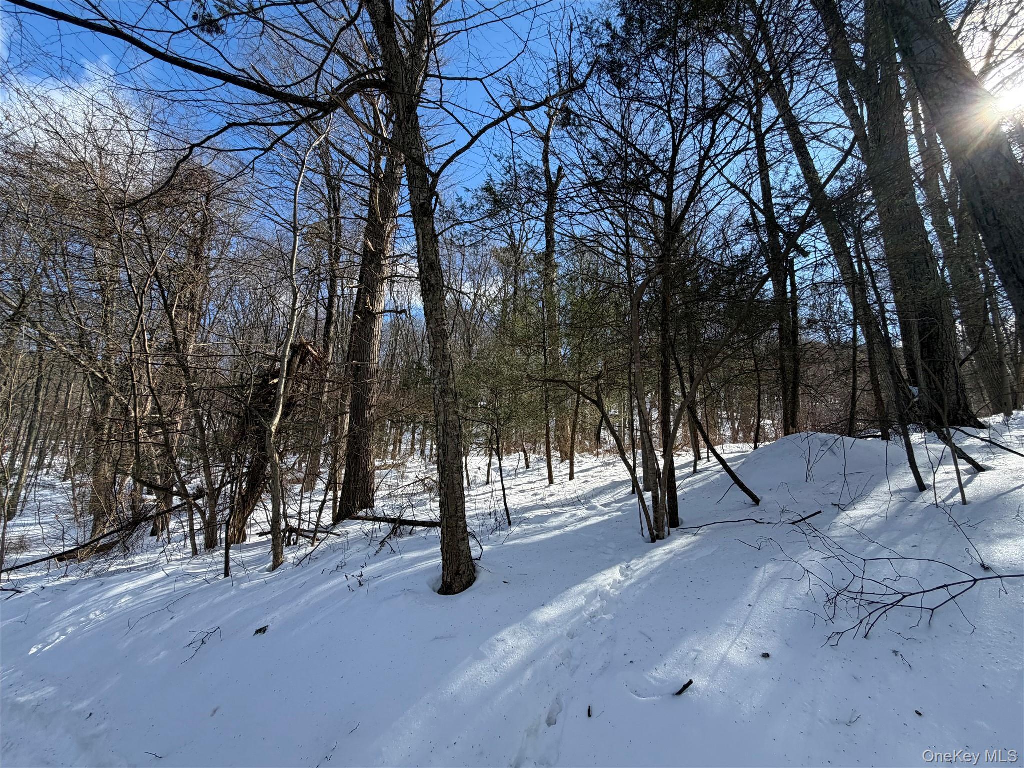 Image 4 Image 4