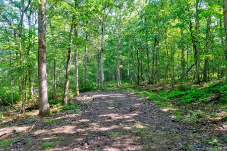 Lot 23 Perry Pond Road