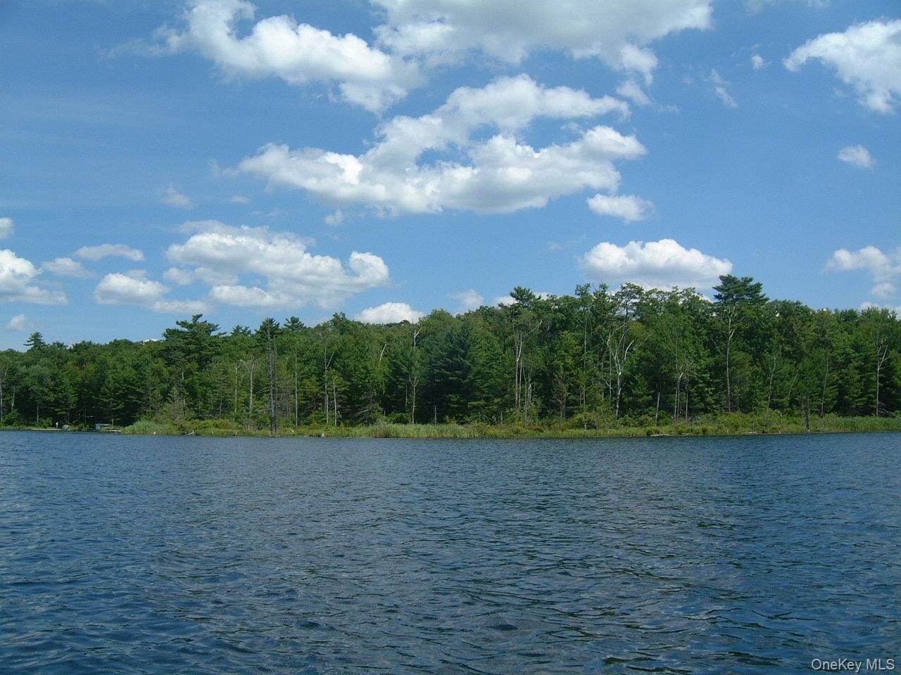 Image 2 Image 2