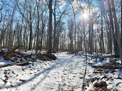 8 Maple Ridge Trail