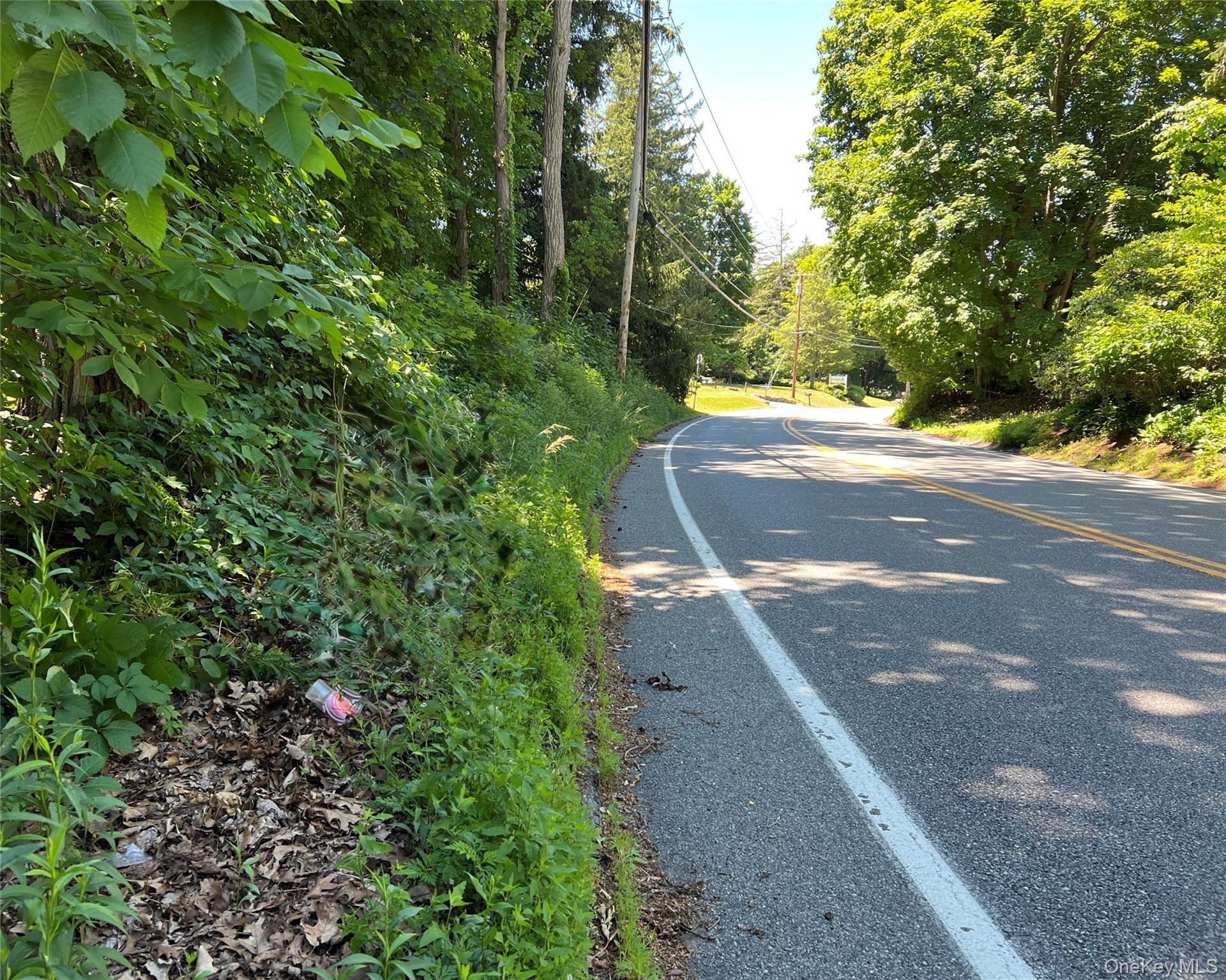 Image 3: Lot