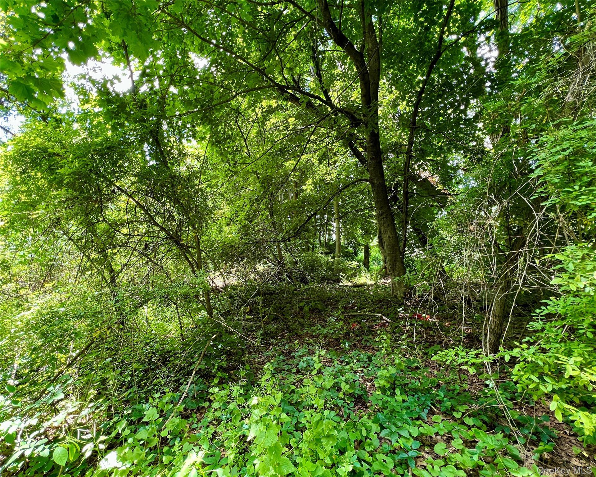 Image 4: Lot