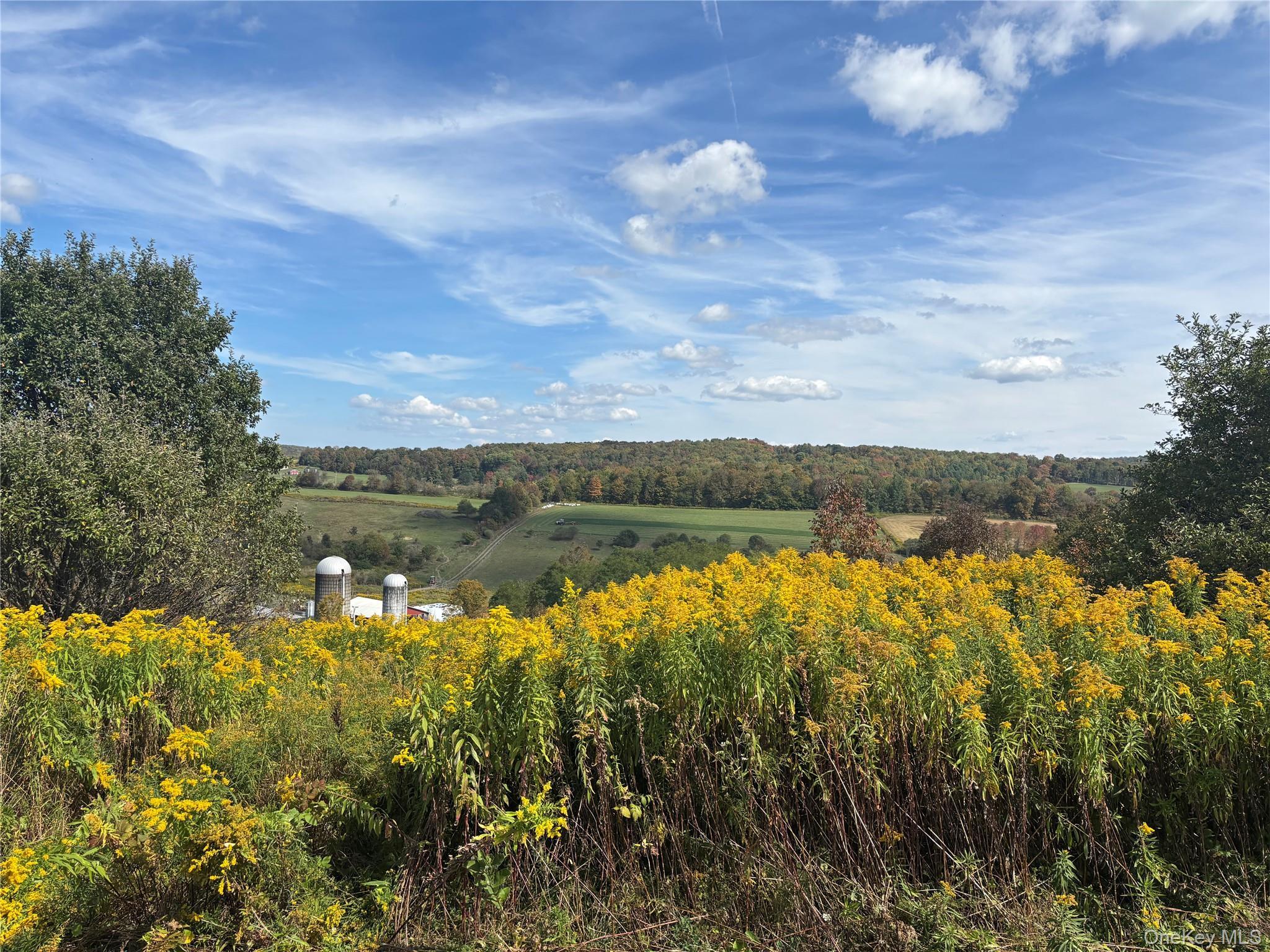 Image 1: View Image 1: View