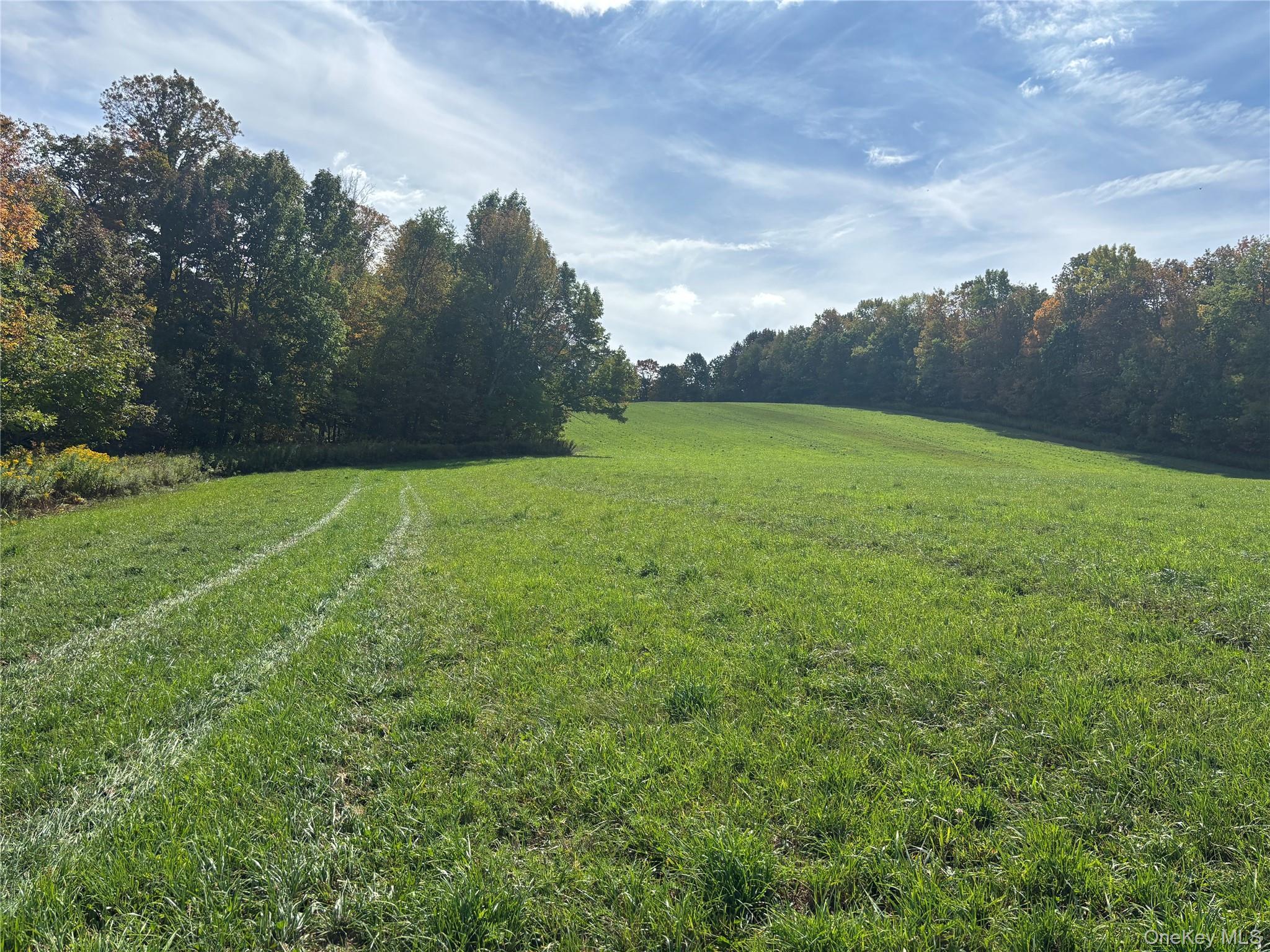 Image 3 Image 3