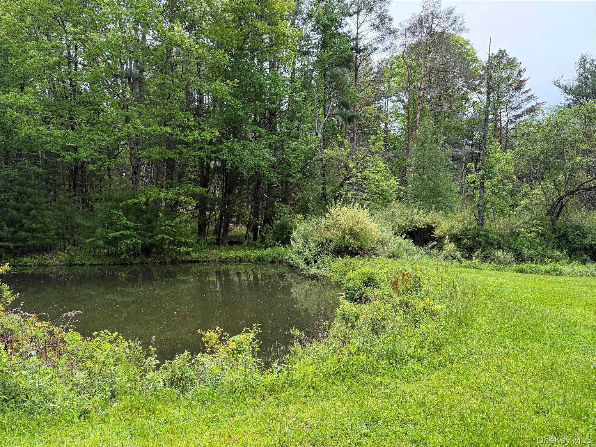 Image 4: Pond Image 4: Pond