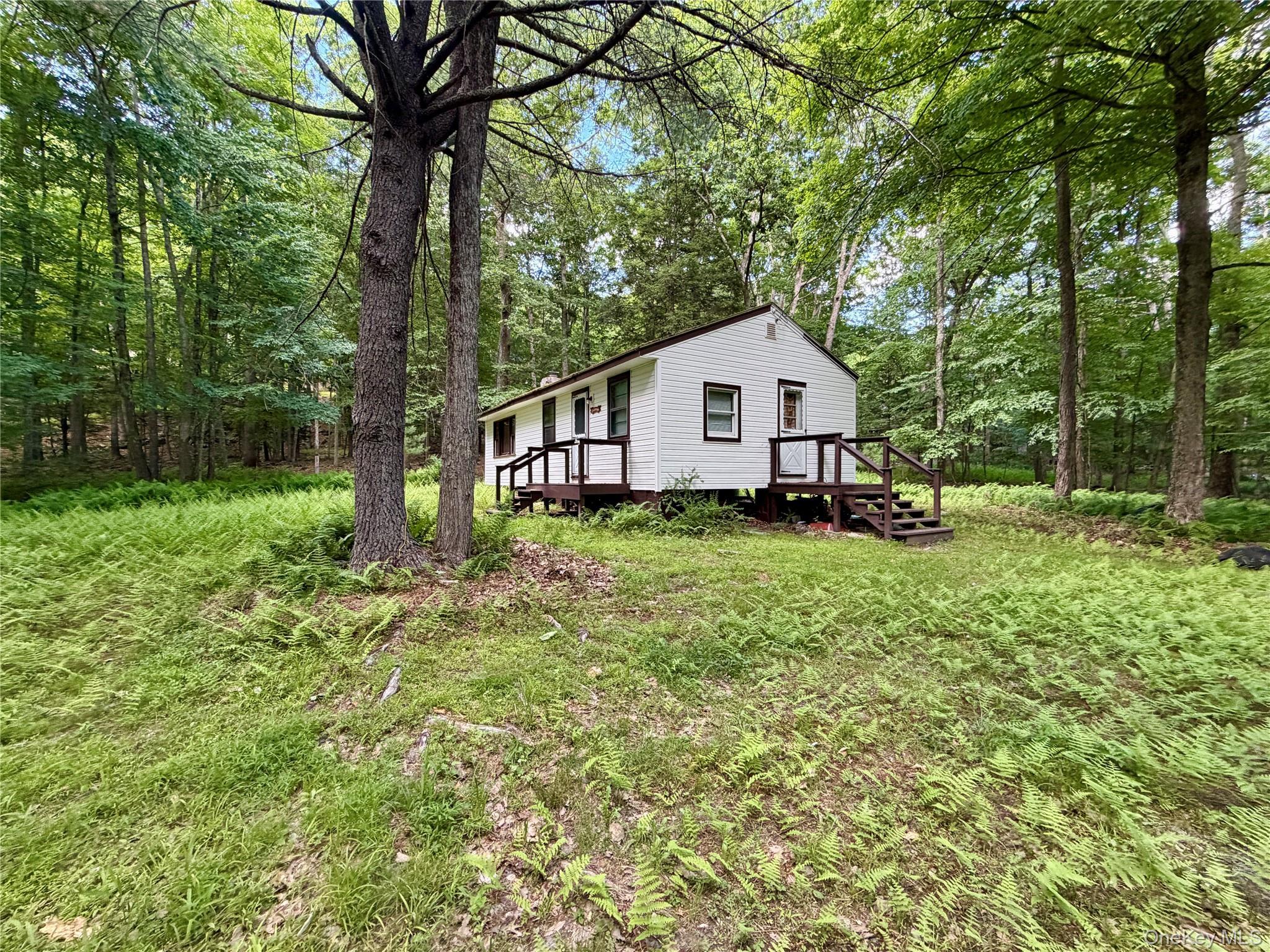 Image 1 Image 1