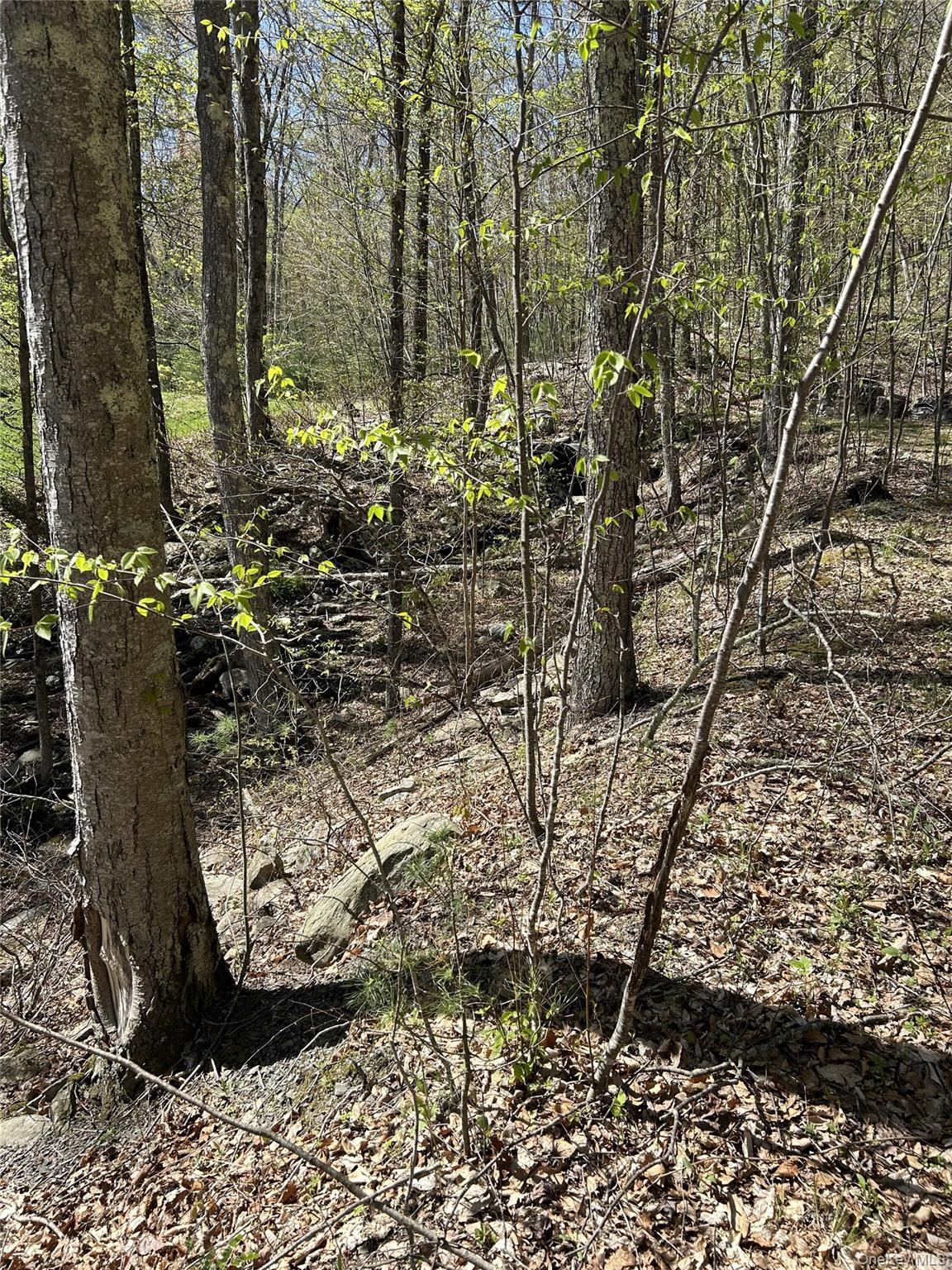 Image 1: Other Image 1: Other