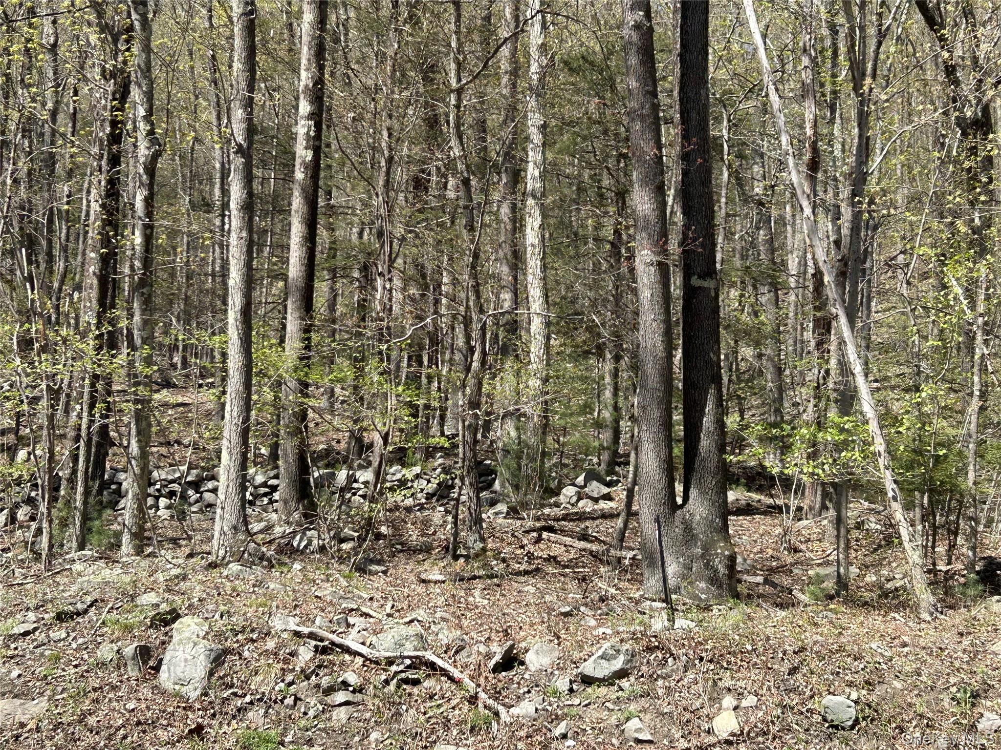 Image 4: Other Image 4: Other